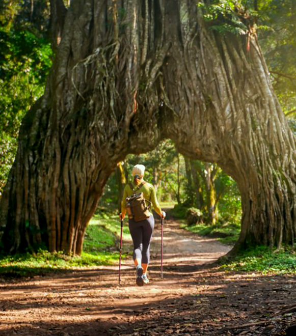 pizet-safaris-arusha-np