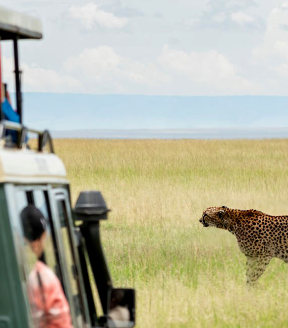 pizet-safaris-masa-mara