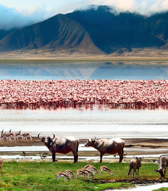 pizet-safaris-ngorongoro-ca